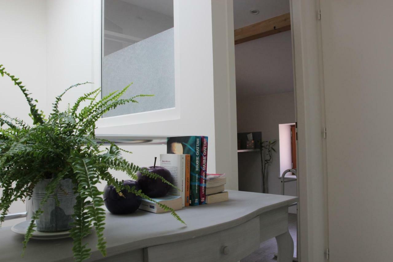 Grand Duplex Au Calme En Centre-Ville Villefranche-sur-Saône Екстериор снимка
