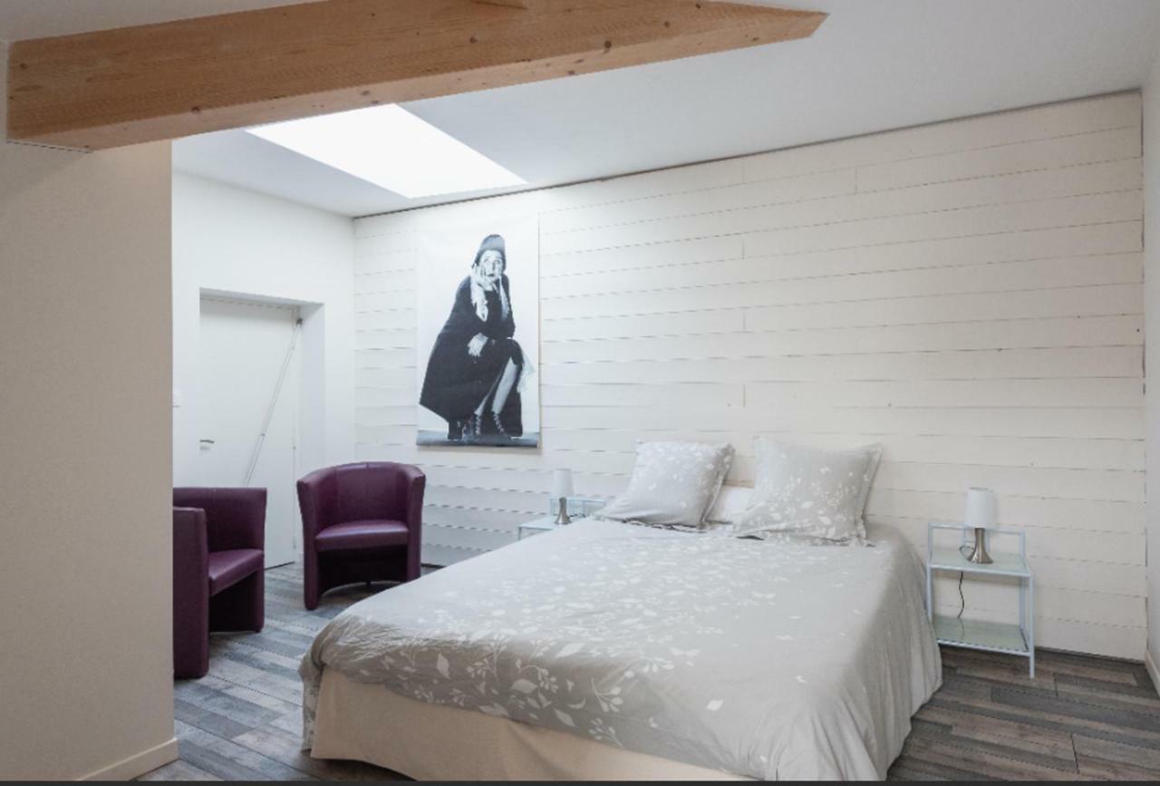 Grand Duplex Au Calme En Centre-Ville Villefranche-sur-Saône Екстериор снимка